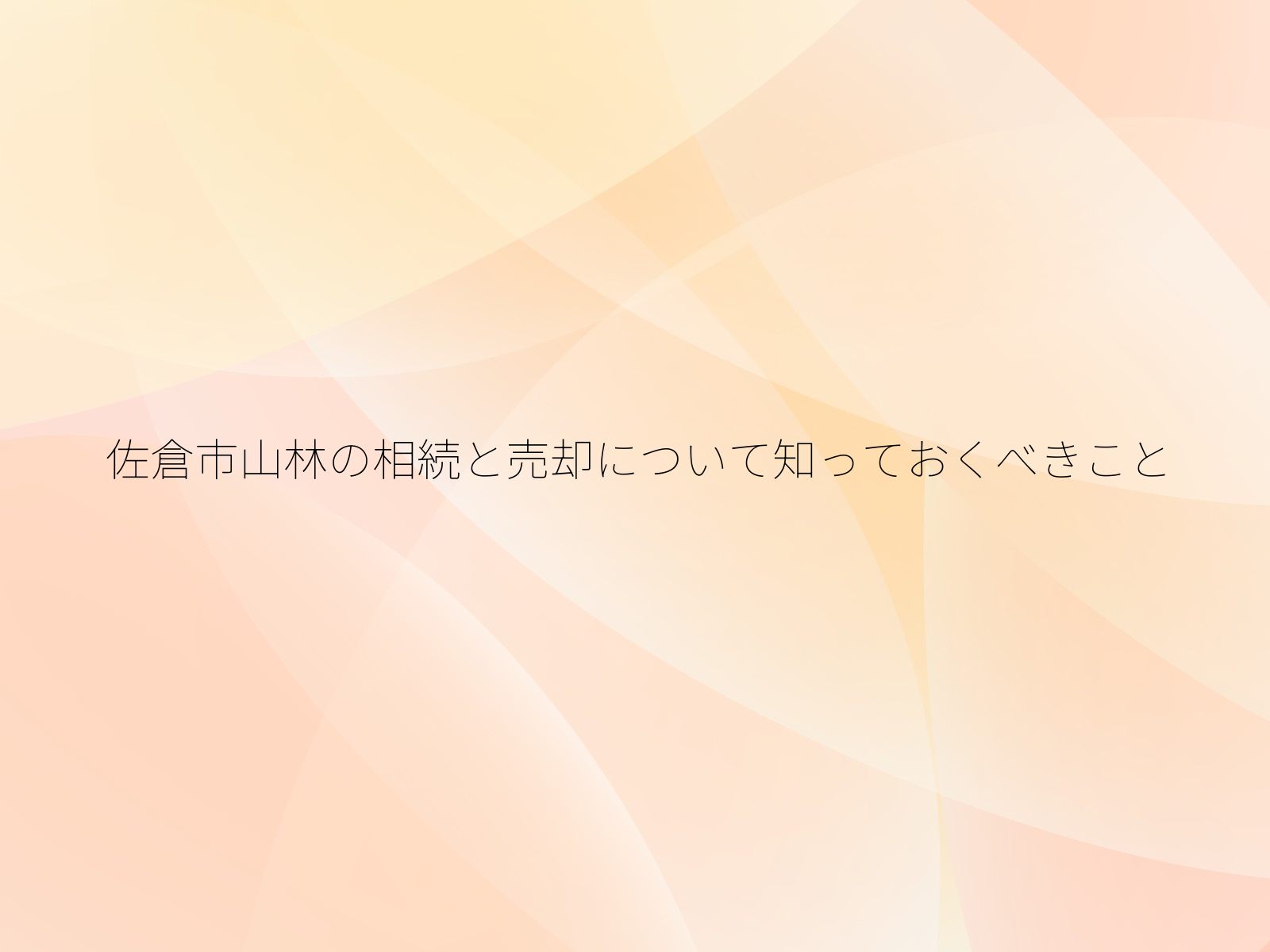 佐倉市山林の相続と売却について知っておくべきこと